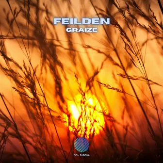 Graize (Sunshine Funk Mix) by Feilden