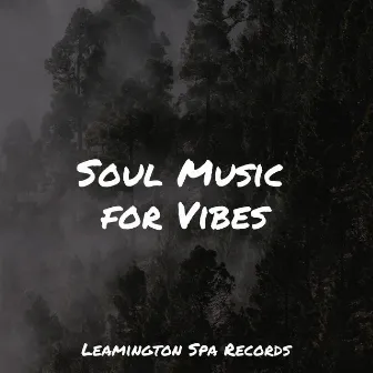 Soul Music for Vibes by Serenity Spa Music Relaxation