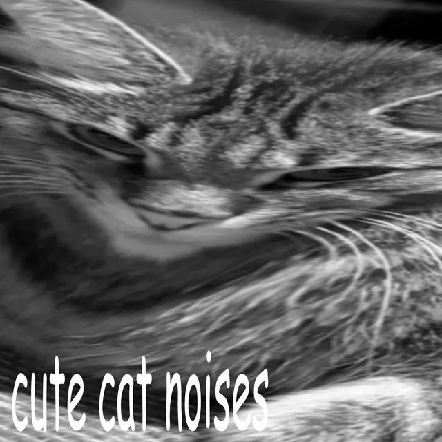 CUTE CAT NOISES