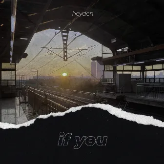 If you by heyden