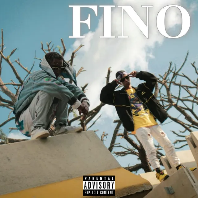 FINO