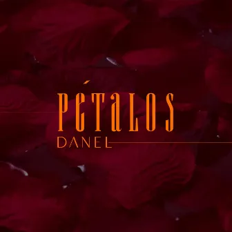 Pétalos by Danel