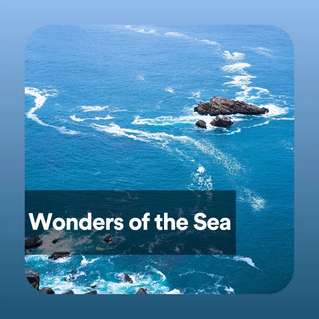 Wonders of the Sea