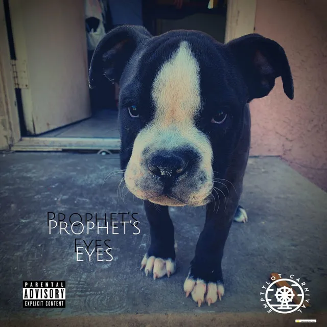 Prophet's Eyes