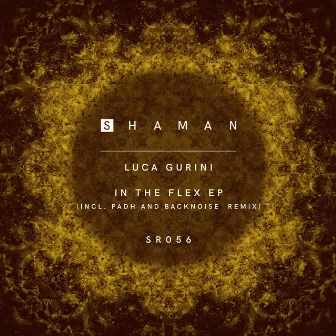 In The Flex EP by Luca Gurini