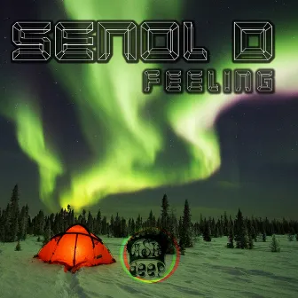 Feeling by Senol D