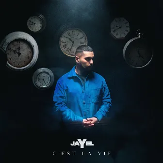 C'est la vie by Jayel