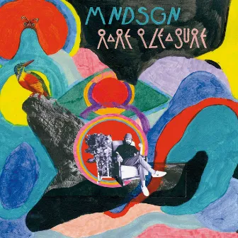 Rare Pleasure by Mndsgn