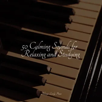 50 Ultimately Entrancing Chillout Piano Compilation by Study Piano