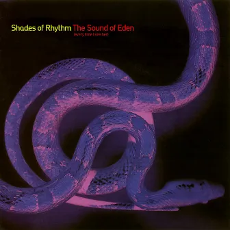 The Sound Of Eden (Every Time I See Her) by Shades of Rhythm