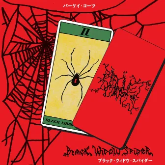 Black Widow Spider by Parquet Courts