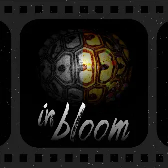 In Bloom by Roo