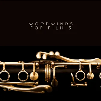 Woodwinds for Film 3 by Matthias Deger