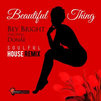 Beautiful Thing (Soulful House Remix) by Bey Bright