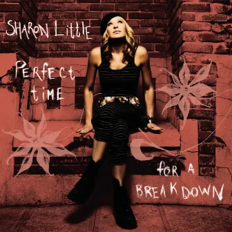 Perfect Time for a Breakdown by Sharon Little