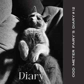 Diary #12 by Odd Meter Fairy