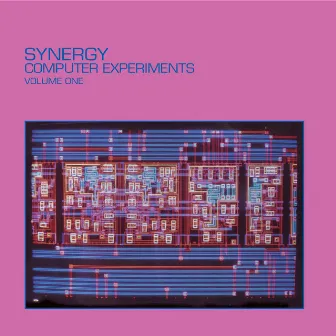 Computer Experiments, Vol. 1 by Synergy