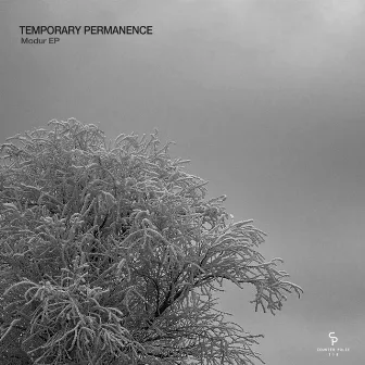 Modur EP by Temporary Permanence