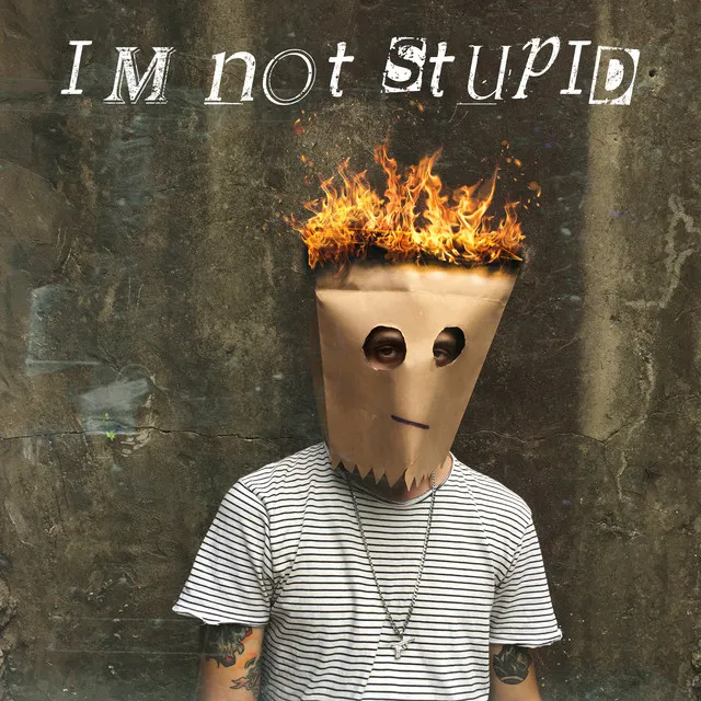 I'm Not Stupid