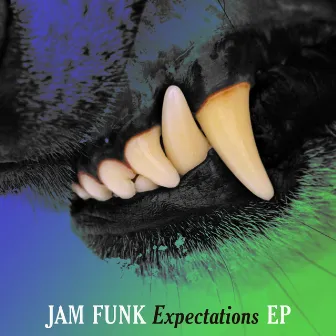 Expectations by Jam Funk