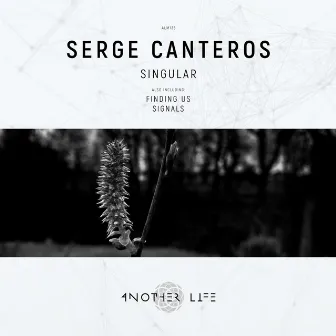 Singular by Serge Canteros