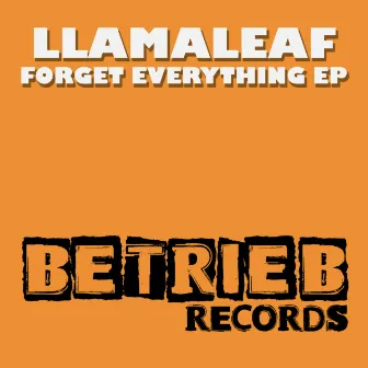 Forget Everything EP by Llamaleaf