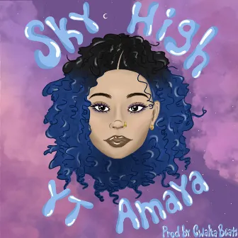 Sky High by Y.T. Amaya