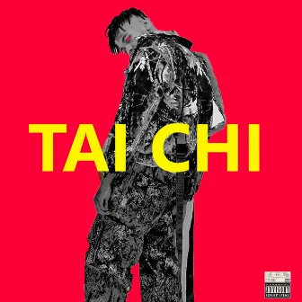 Tai Chi by SURFGANGGEEK