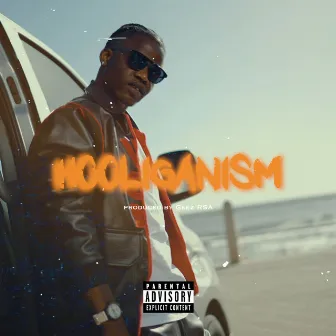 Hooliganism by Vellie P