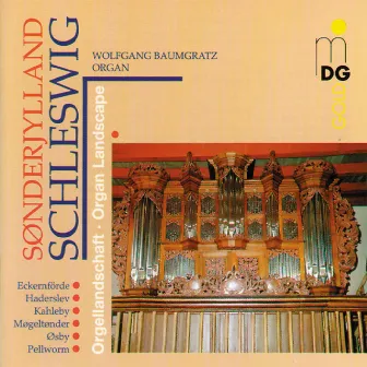 Schleswig Organ Landscape by Wolfgang Baumgratz