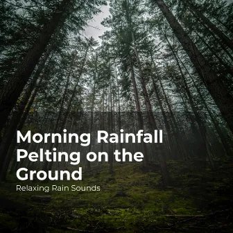 Morning Rainfall Pelting on the Ground by Rain for Sleep