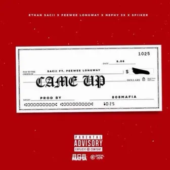 Came Up by Ethan Sacii