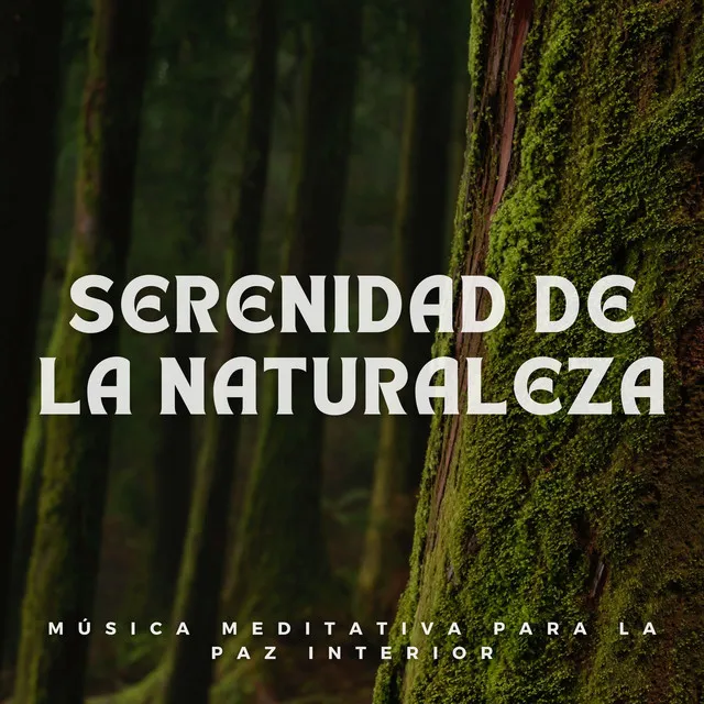 Serenidad de la Naturaleza: Música Meditativa para la Paz Interior