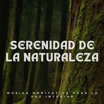 Serenidad de la Naturaleza: Música Meditativa para la Paz Interior by Ruidos de meditación