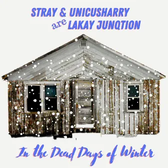 In the Dead Days of Winter by Lakay Junqtion