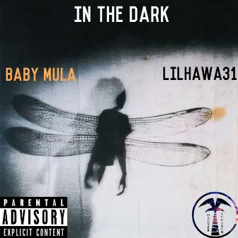 In the Dark by Baby Mula