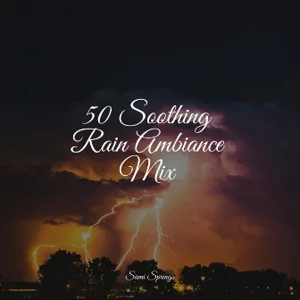 50 Soothing Rain Ambiance Mix by Sampling XL