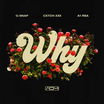 WHY by G-Snap