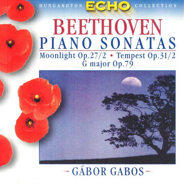 Piano Sonata No. 17 in D Minor, Op. 31, No. 2, "Tempest": III. Allegretto