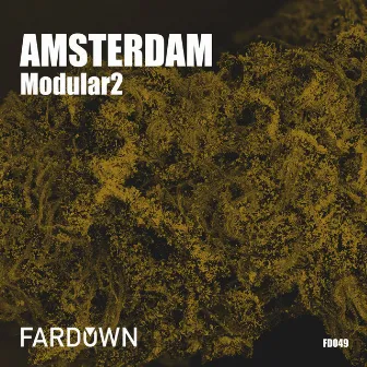 Amsterdam by Modular2