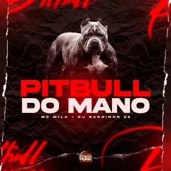 Pitbull do Mano by Dj Nandinho 22