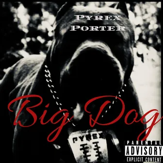 BIG DOG by Pyrex Porter