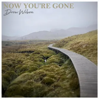 Now You’re Gone by Drew Wilson