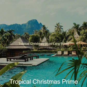 Tropical Christmas (Auld Lang Syne) by Tropical Christmas Prime