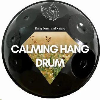 Calming Hang Drum by Hang Drum and Nature