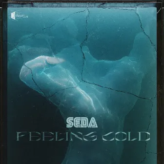 Feeling Cold by Seda