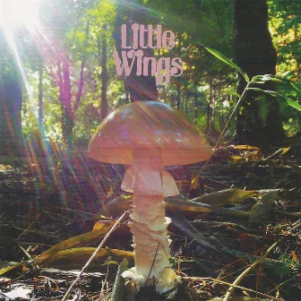 Last by Little Wings