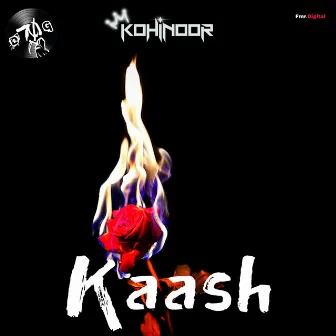 Kaash by Kohinoor