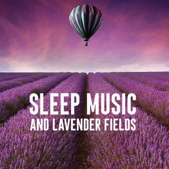 Sleep Music and Lavender Fields by Fall Asleep Dreaming