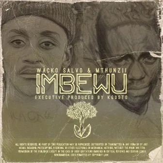 IMBEWU by Wacko Salvo